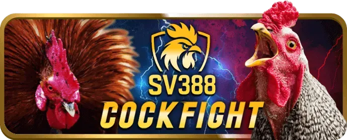 Cá cược quần vợt tại 33win33